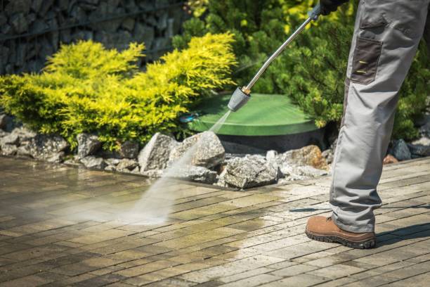 Best Warehouse Cleaning  in Buffalo Center, IA